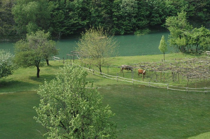 A2; Coada lacului la Herculane
