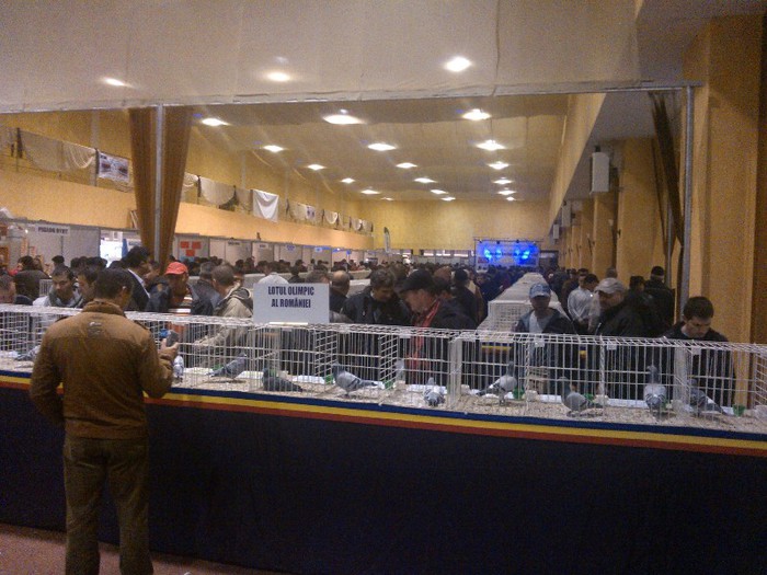 Expo Targu Mures 1 dec. 2012