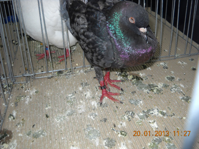 My pictures 087