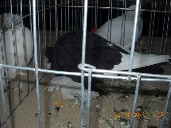 My pictures 088