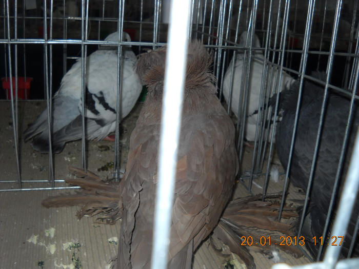 My pictures 090