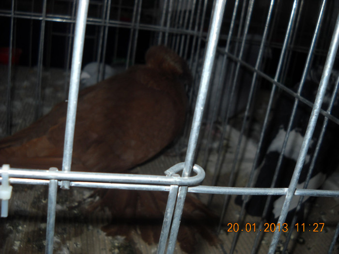 My pictures 092