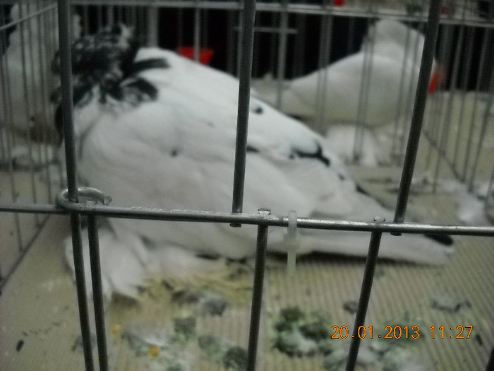 My pictures 094