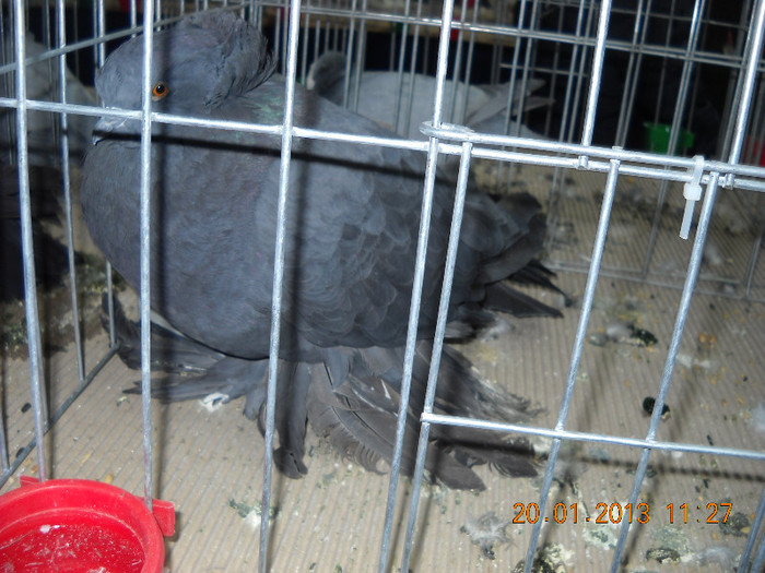 My pictures 095