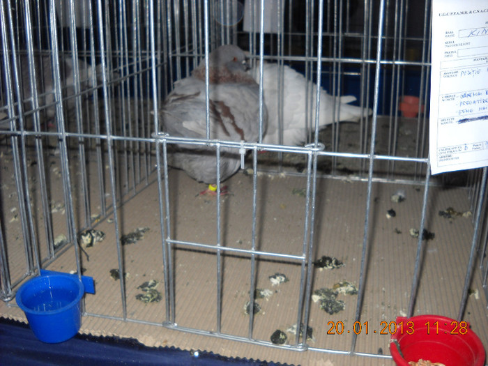 My pictures 096