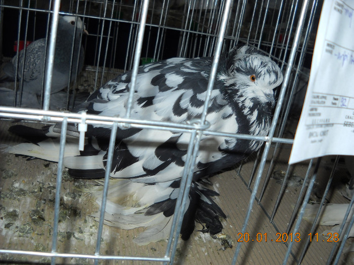 My pictures 098