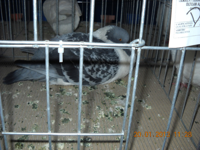 My pictures 099