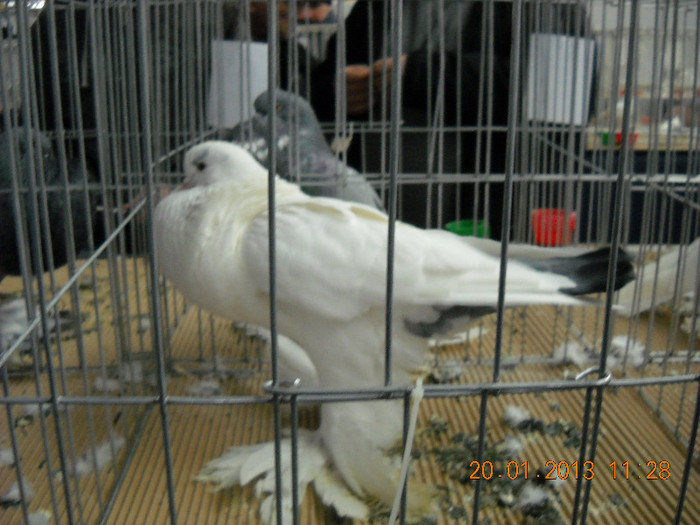 My pictures 102