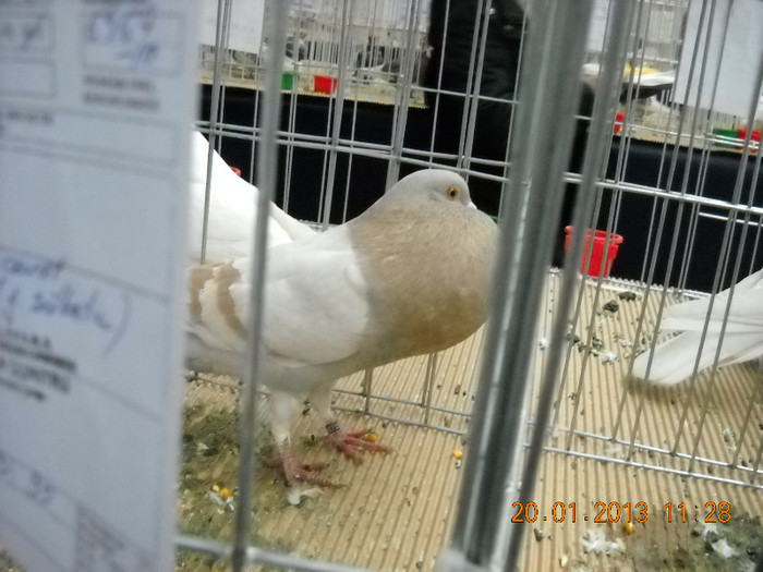 My pictures 104