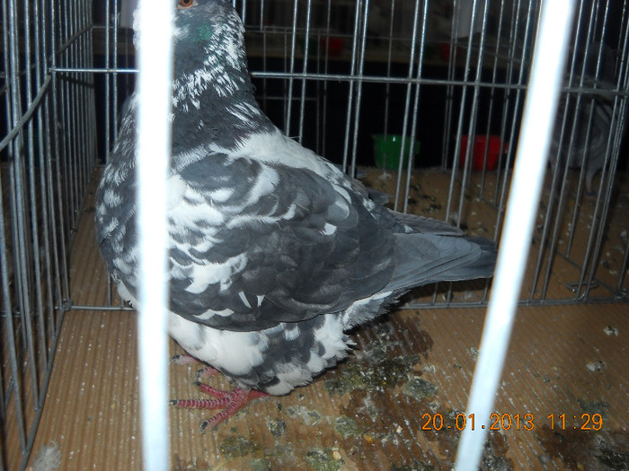 My pictures 105