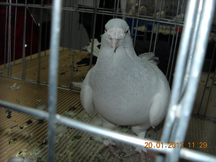 My pictures 108
