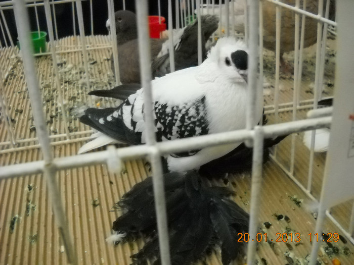 My pictures 111