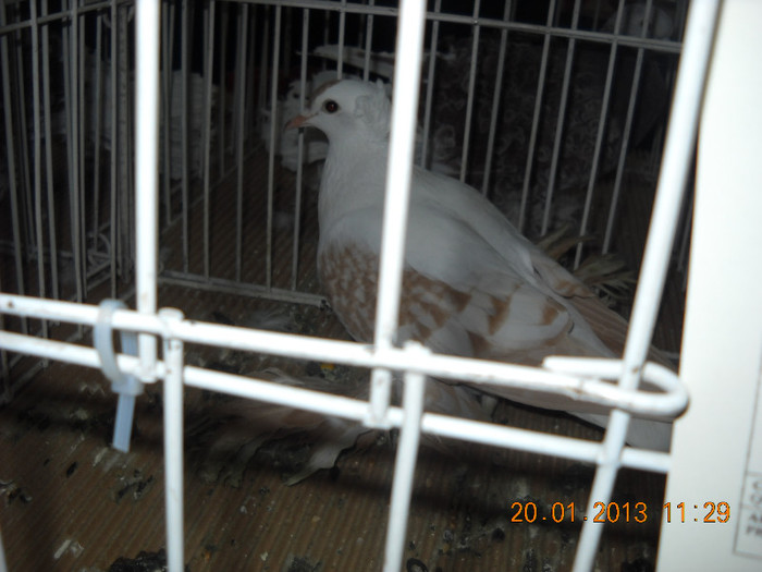 My pictures 113