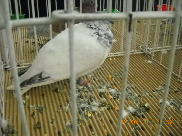 My pictures 115