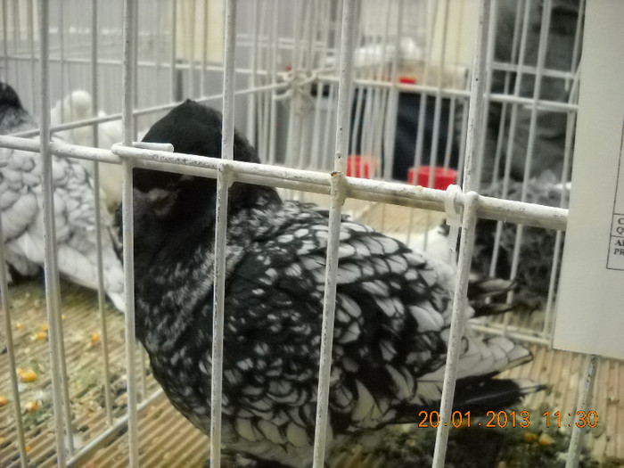 My pictures 116