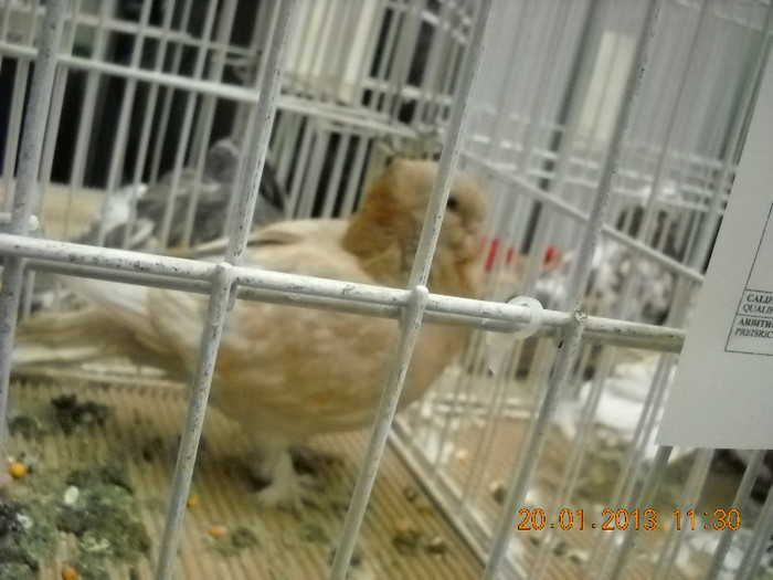 My pictures 118
