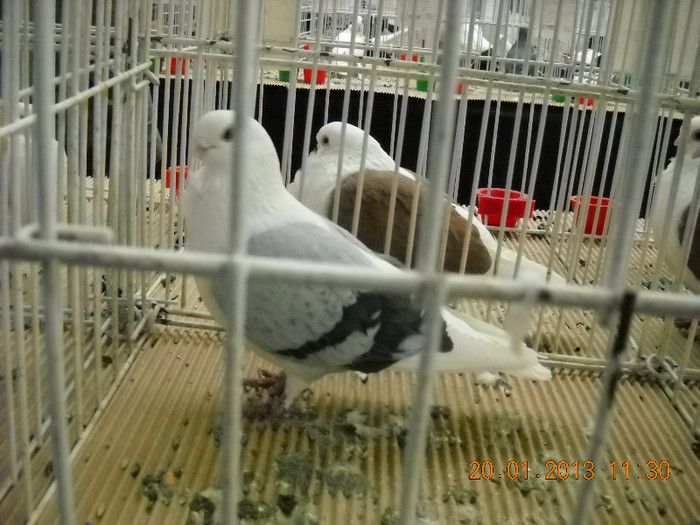 My pictures 120