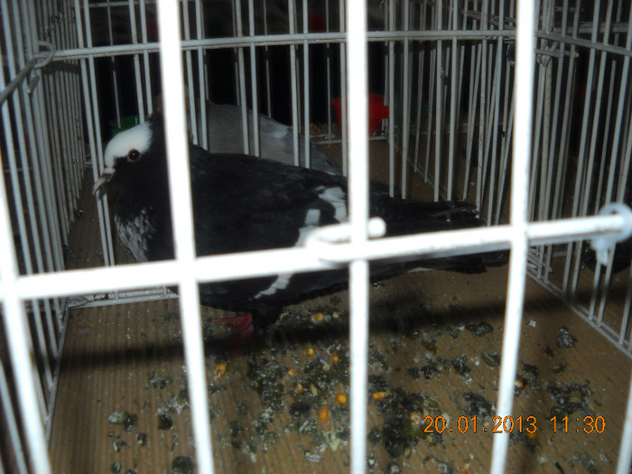 My pictures 123