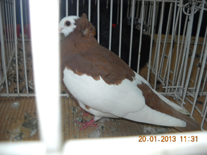 My pictures 135
