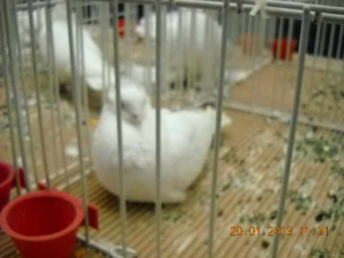 My pictures 136