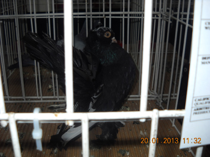 My pictures 139