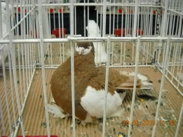 My pictures 142