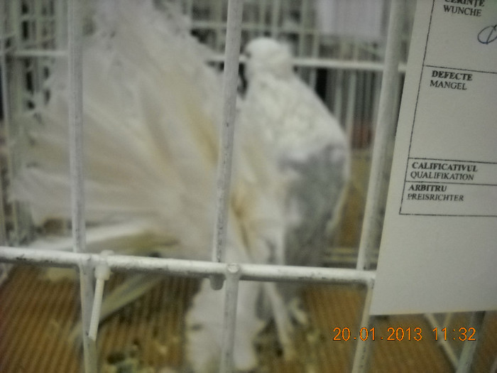 My pictures 143
