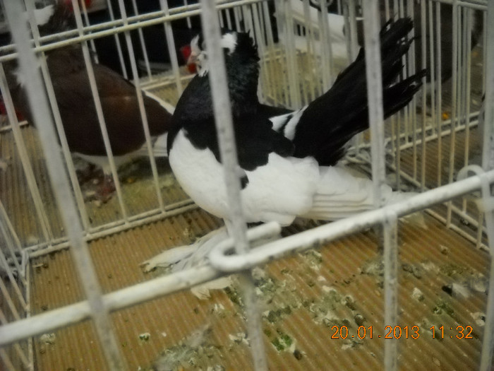 My pictures 144