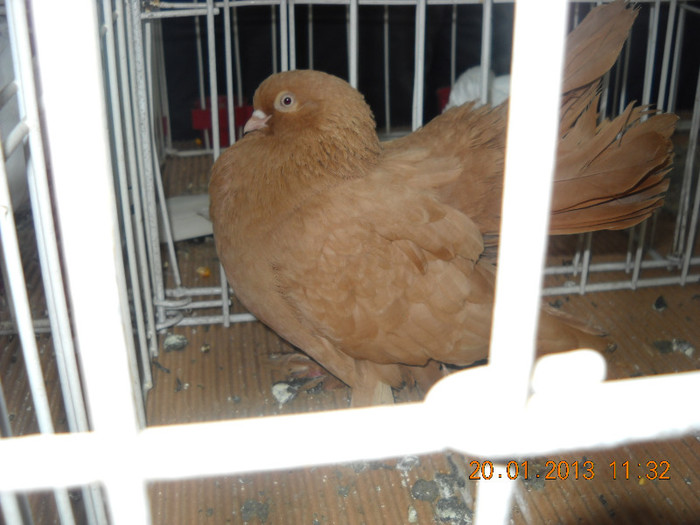My pictures 146