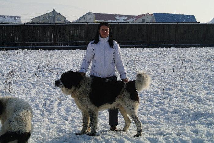 Amir 2.ani - AMIR - Eros de Plai Bucovinean