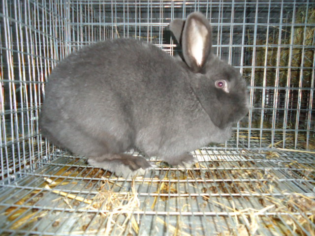 DSC03366