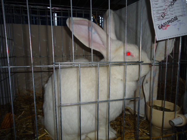 DSC03388