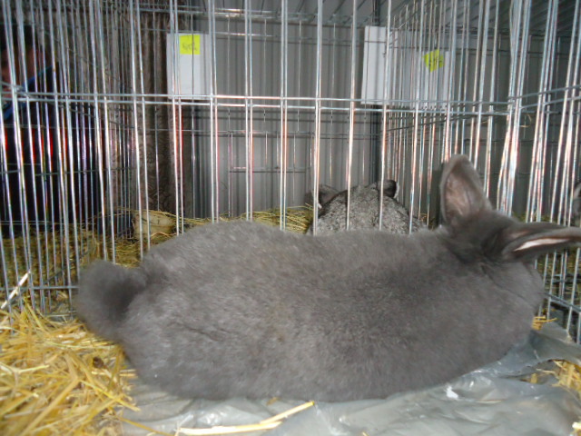 DSC03393