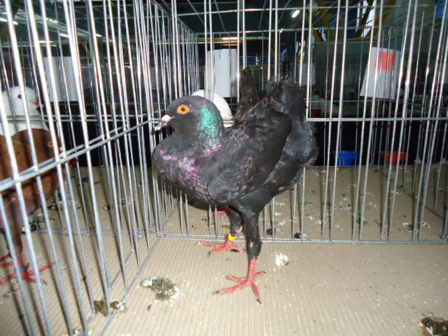 DSC03435