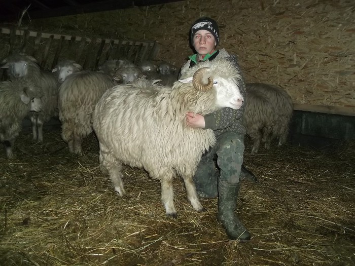 Picture 1465 - Bale de Bistrita