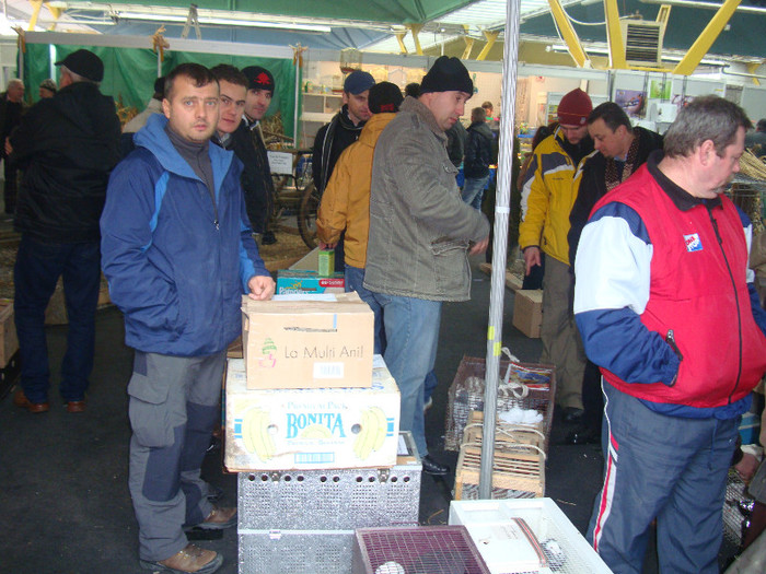 DSC09193 - u EXPOZITIA NATIONALA DE PORUMBEI PASARI SI ANIMALE MICI CLUJ 19 01 2013