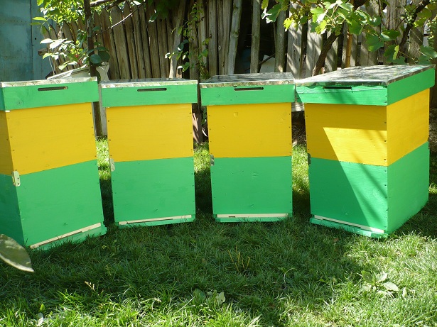 P1050167 - stupi verticali cu cat 1-1