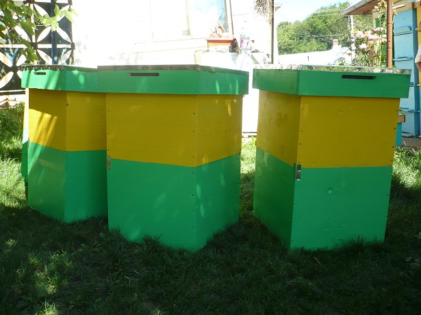 P1050169 - stupi verticali cu cat 1-1