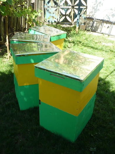 P1050170 - stupi verticali cu cat 1-1