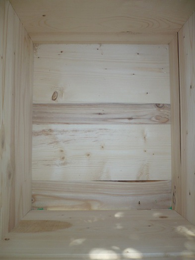 P1050171 - stupi verticali cu cat 1-1