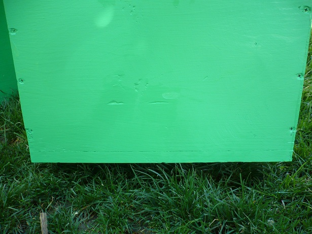 P1050175 - stupi verticali cu cat 1-1