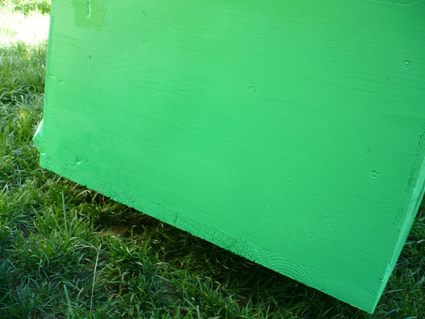 P1050176 - stupi verticali cu cat 1-1