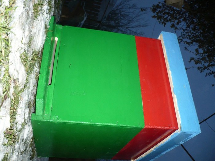 P1050695 - stupi verticali cu cat 1-2