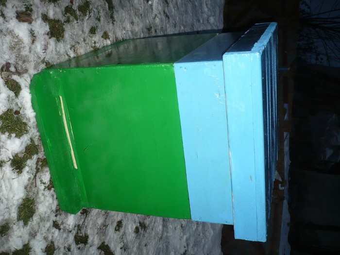 P1050701 - stupi verticali cu cat 1-2