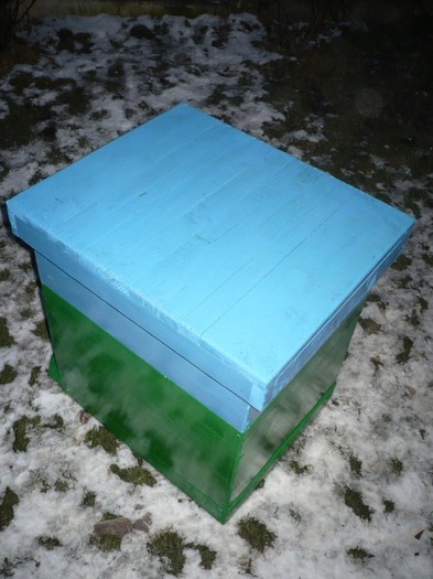 P1050705 - stupi verticali cu cat 1-2