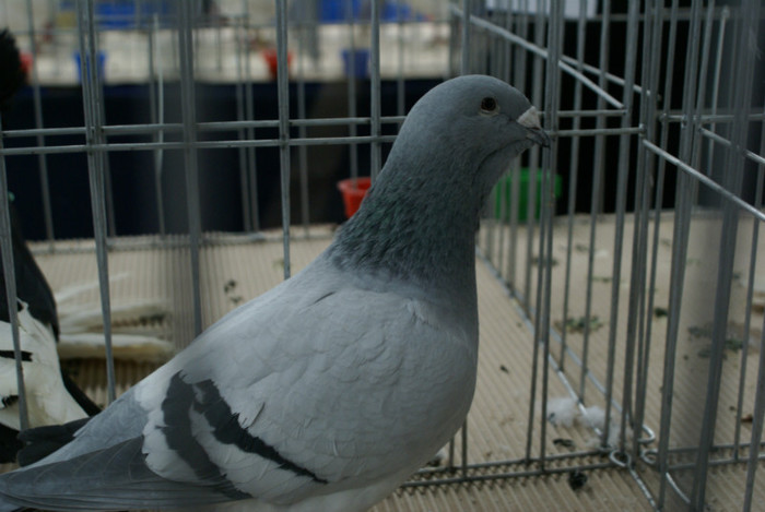 DSC00127