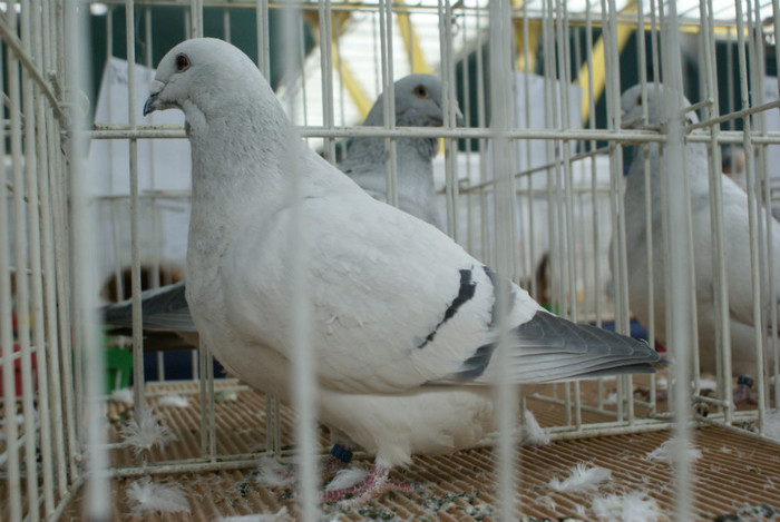 DSC00139