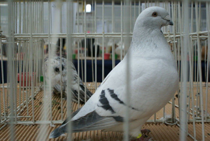 DSC00143