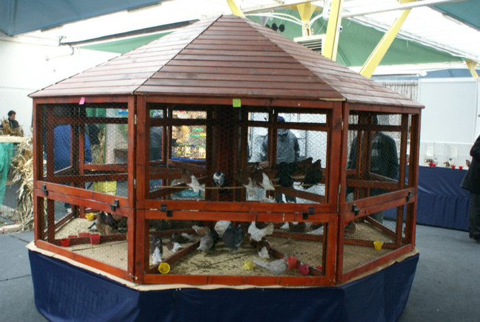 DSC00146