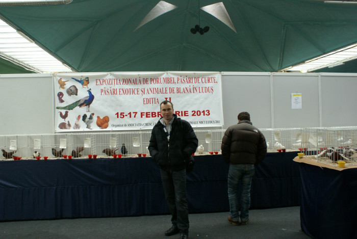 DSC00160 - Expo Nationala Cluj 2013